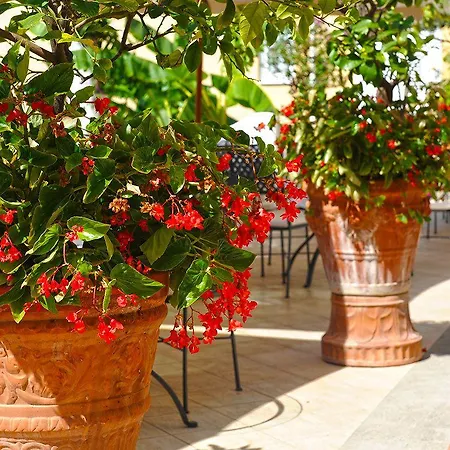 Hotel Marincanto
