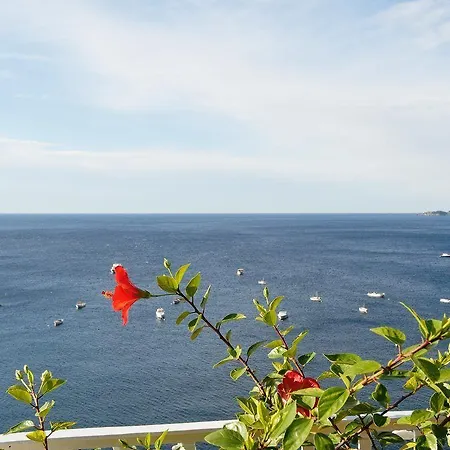 Marincanto Positano