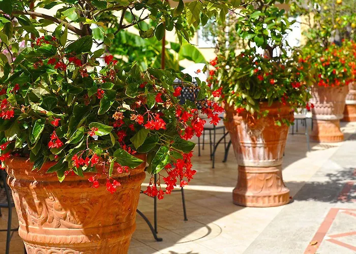 Hotel Marincanto